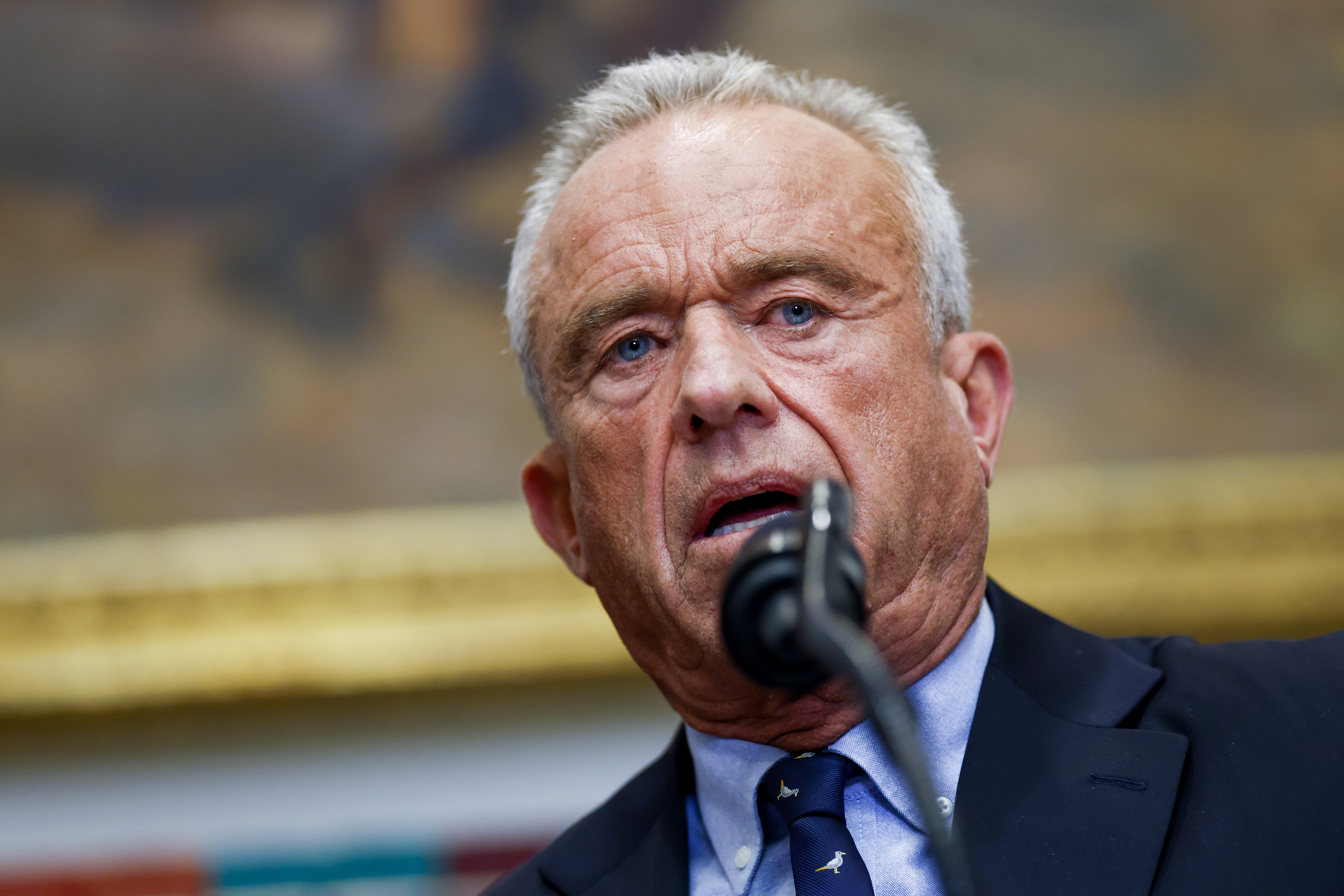 En person i dress snakker ved en mikrofon i en innendørs setting med kunstbakgrunn