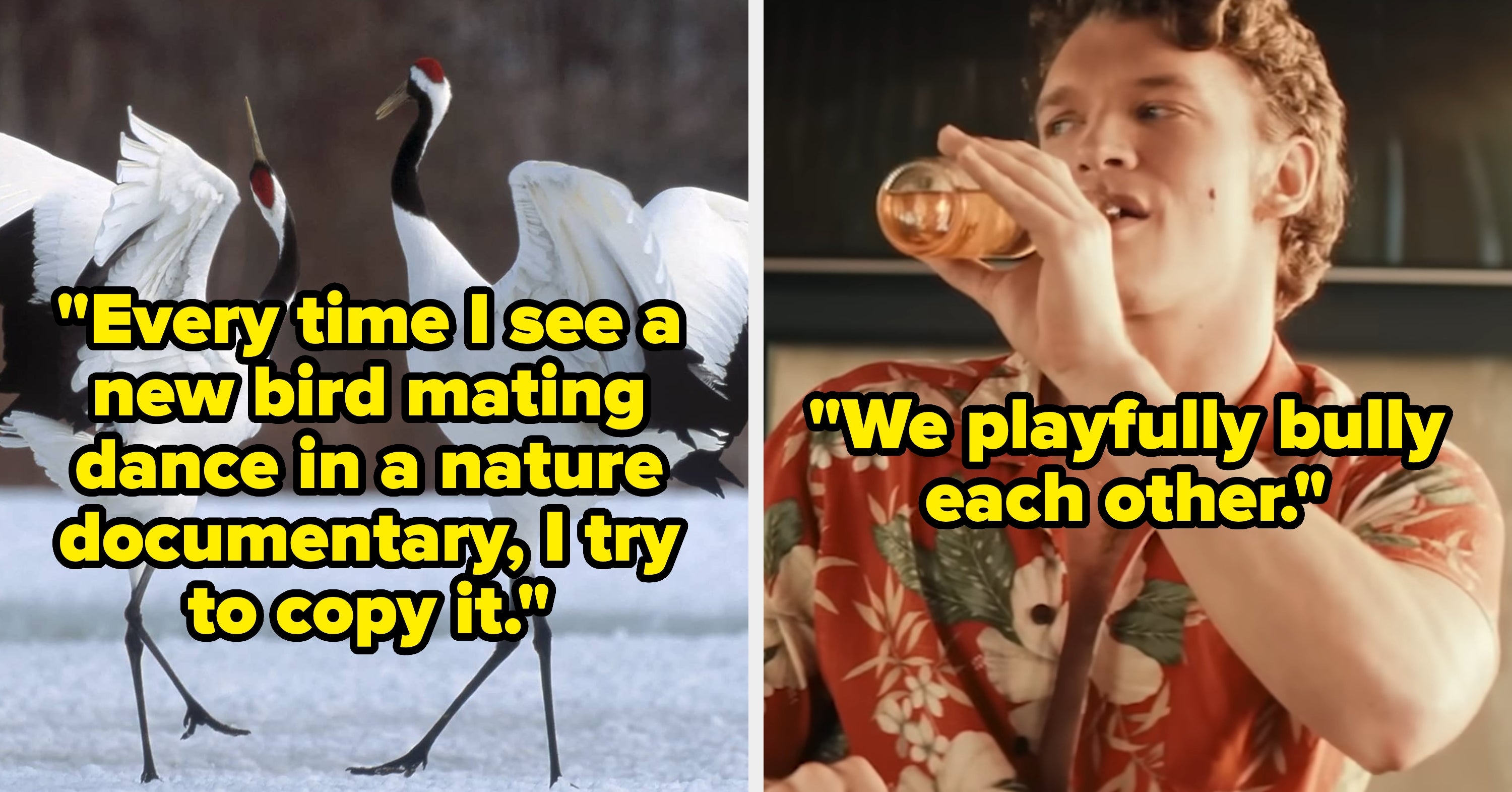 "It Just Works": People In Long-Term Relationships Are Revealing How They Keep Things Exciting, And I'm Intrigued