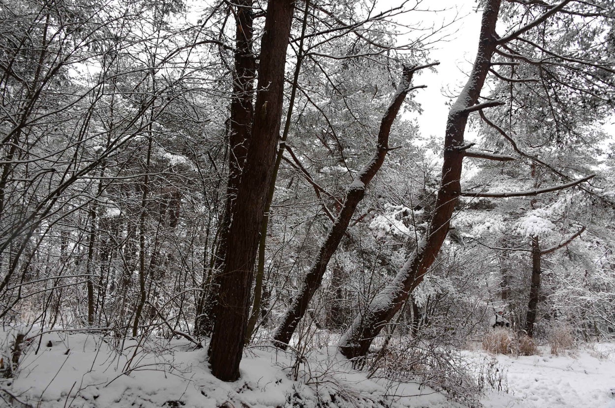 「みなさんもきっと気づくはず♬」と秋田駐屯地が投稿した写真