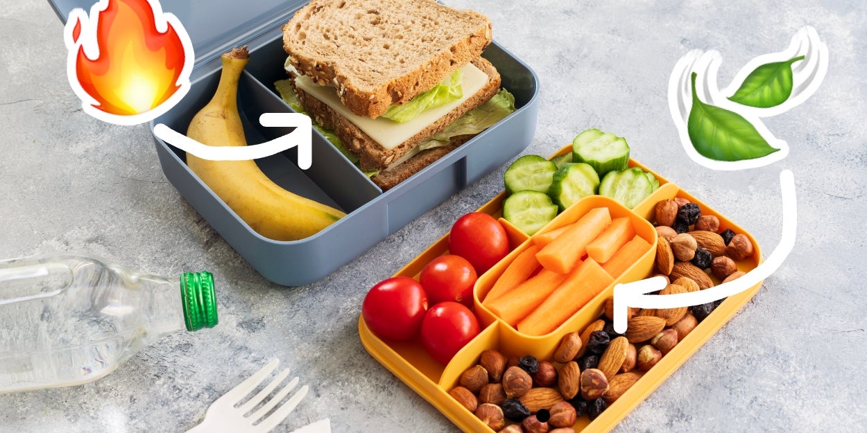 Build Your Dream School Lunch Box And I'll Reveal What Element You Are