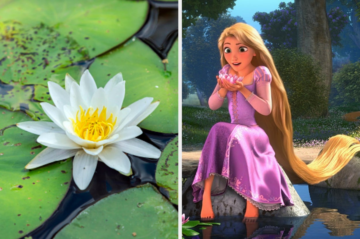 Choose Some Flowers To Reveal Which Disney Princess Are You Deep Down