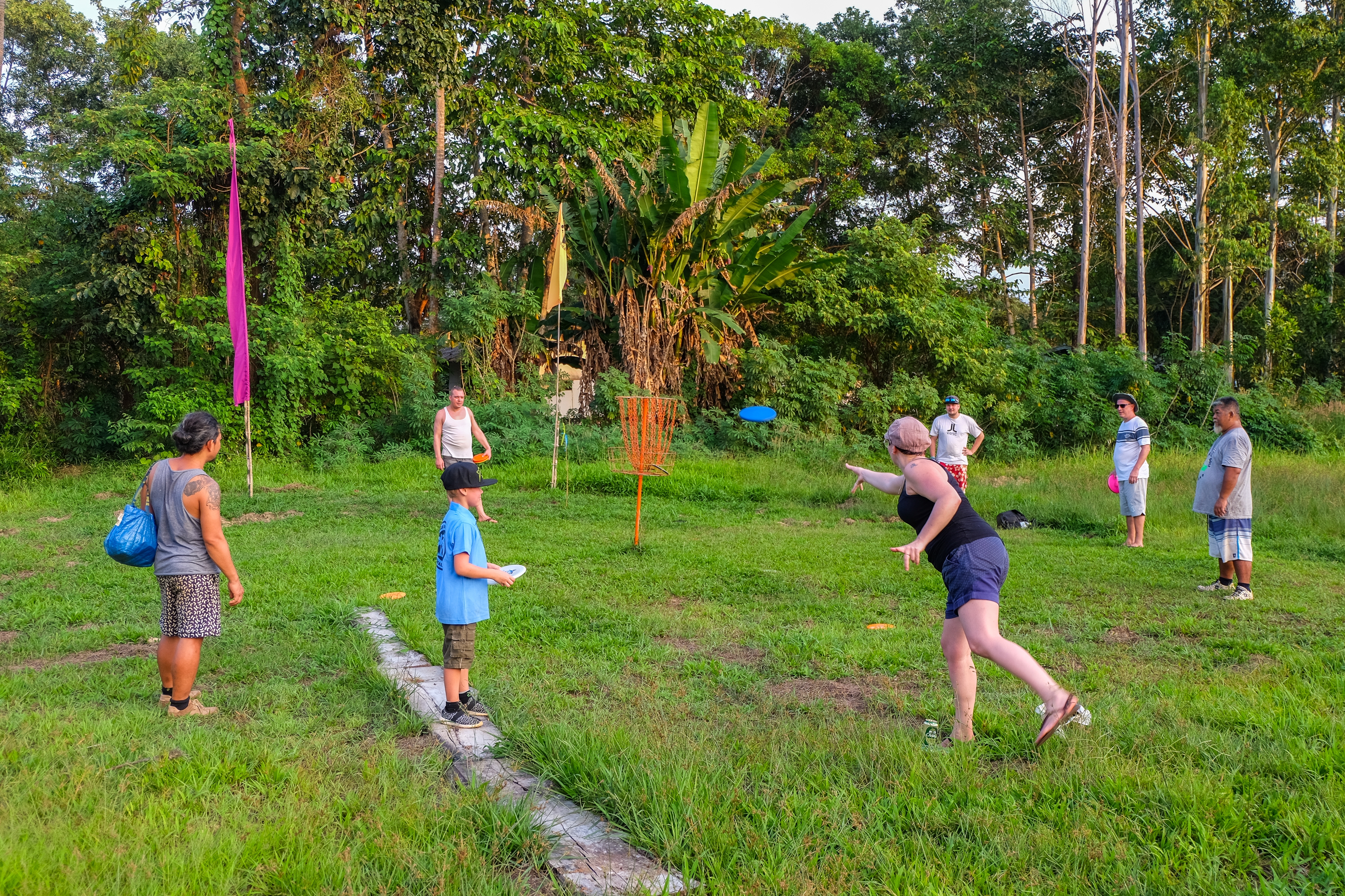 People playing disc play  successful  a grassy parkland  with trees successful  the background. A pistillate   is tossing a disc towards a basket