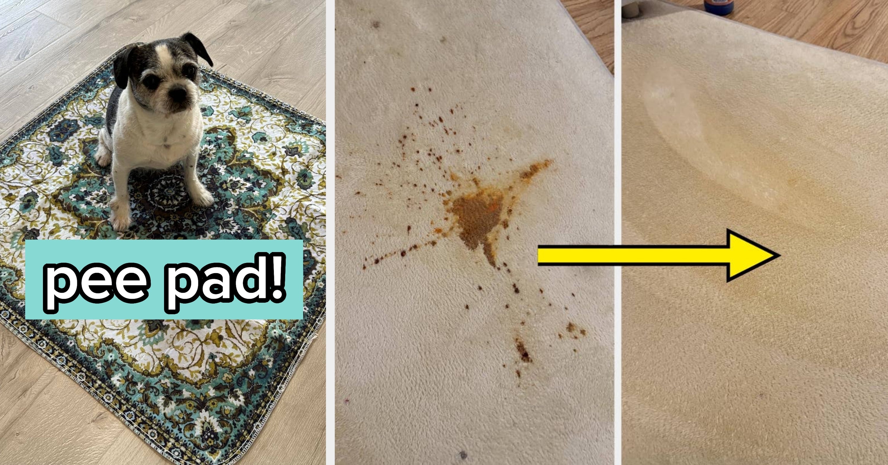 23 Products To Help You Clean Up After Your Pets, Because Boy Do You Love Them, But They Know How To Make A Mess