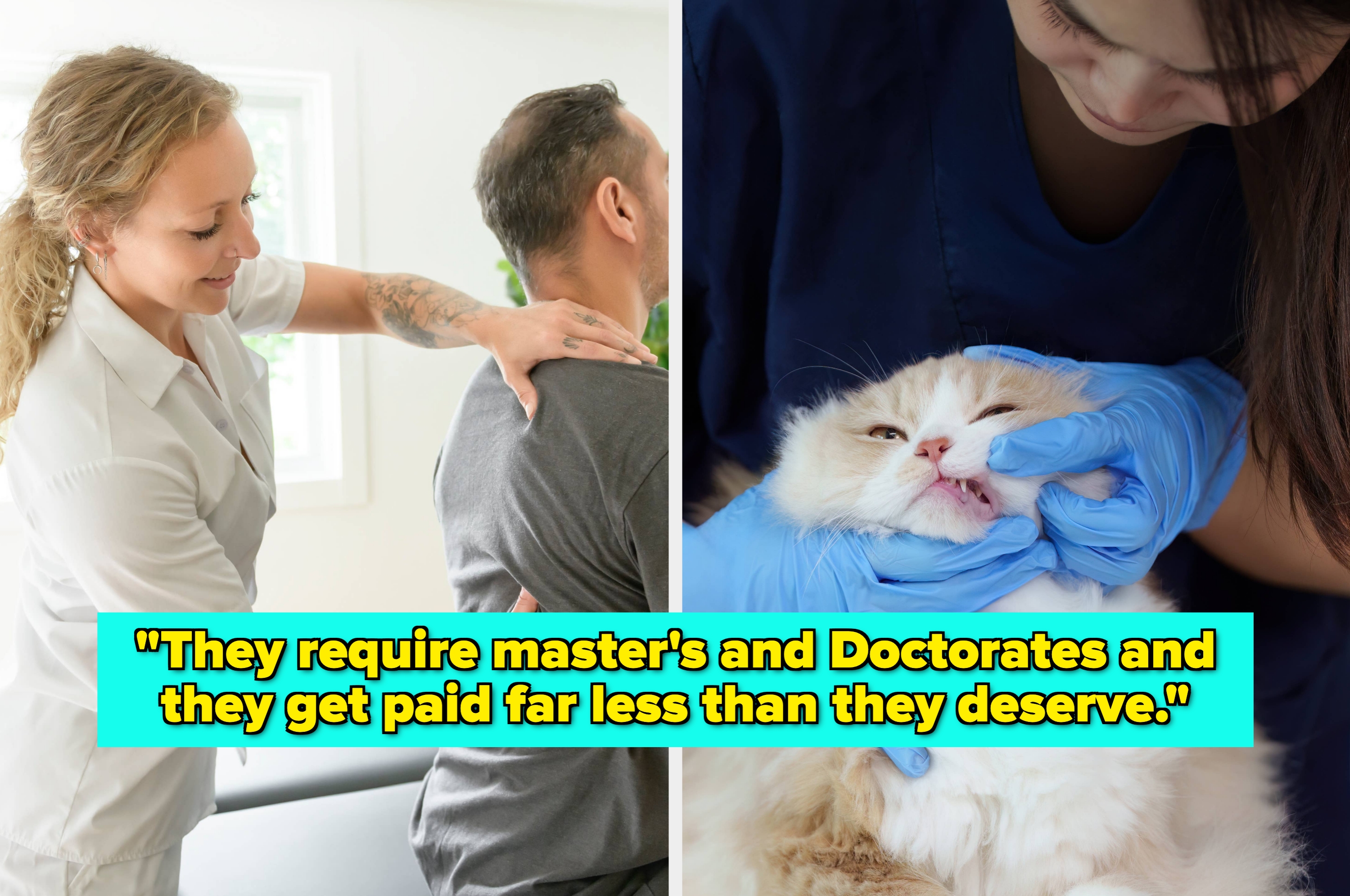 Left: A woman in a medical uniform assists a seated person. Right: A vet checks a cat's teeth. Caption discusses pay disparities in these fields