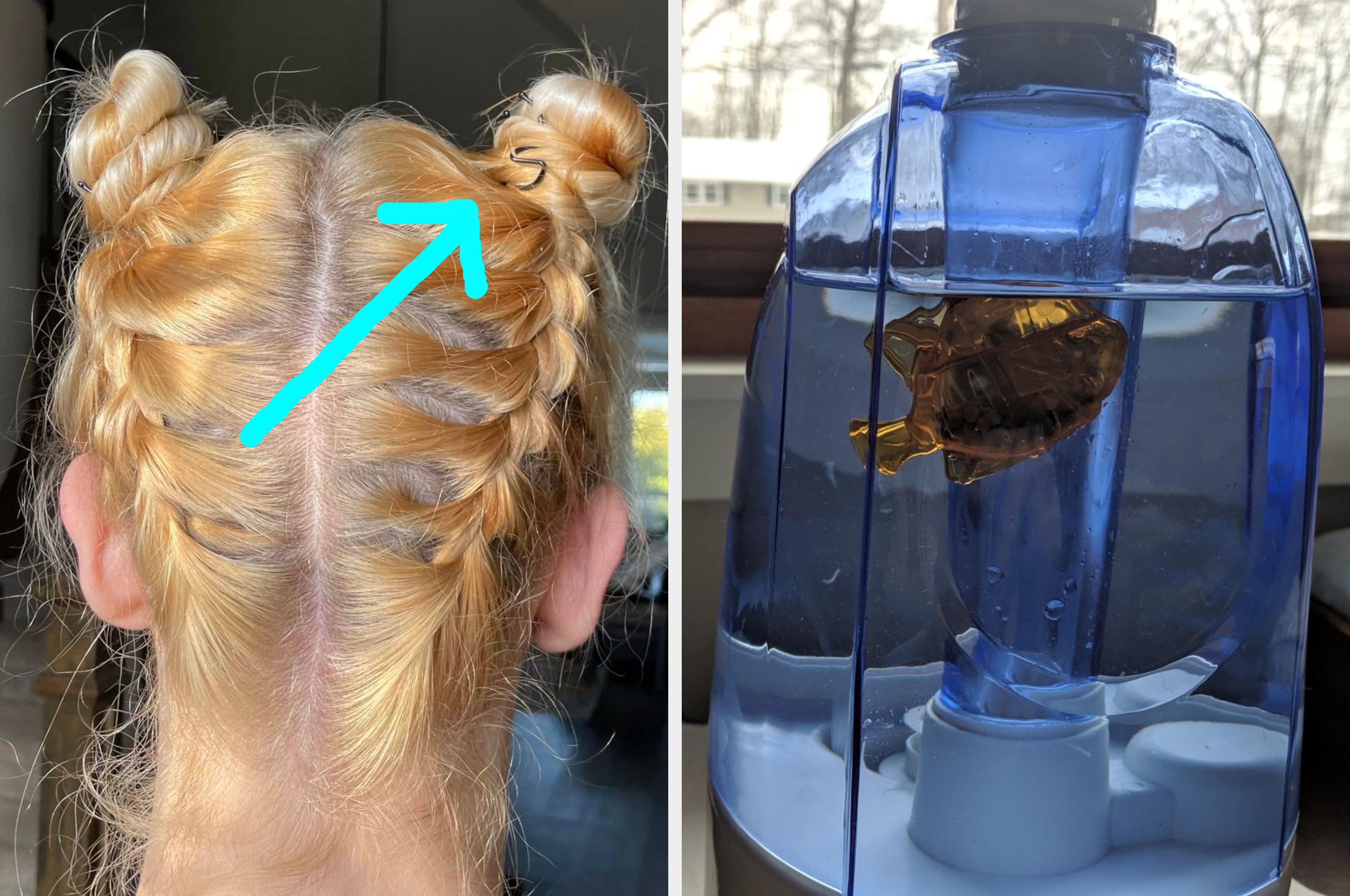 left: back of reviewer head in a braided updo with arrow pointing out a Spin Pin; right: fish floating around in a humidifier