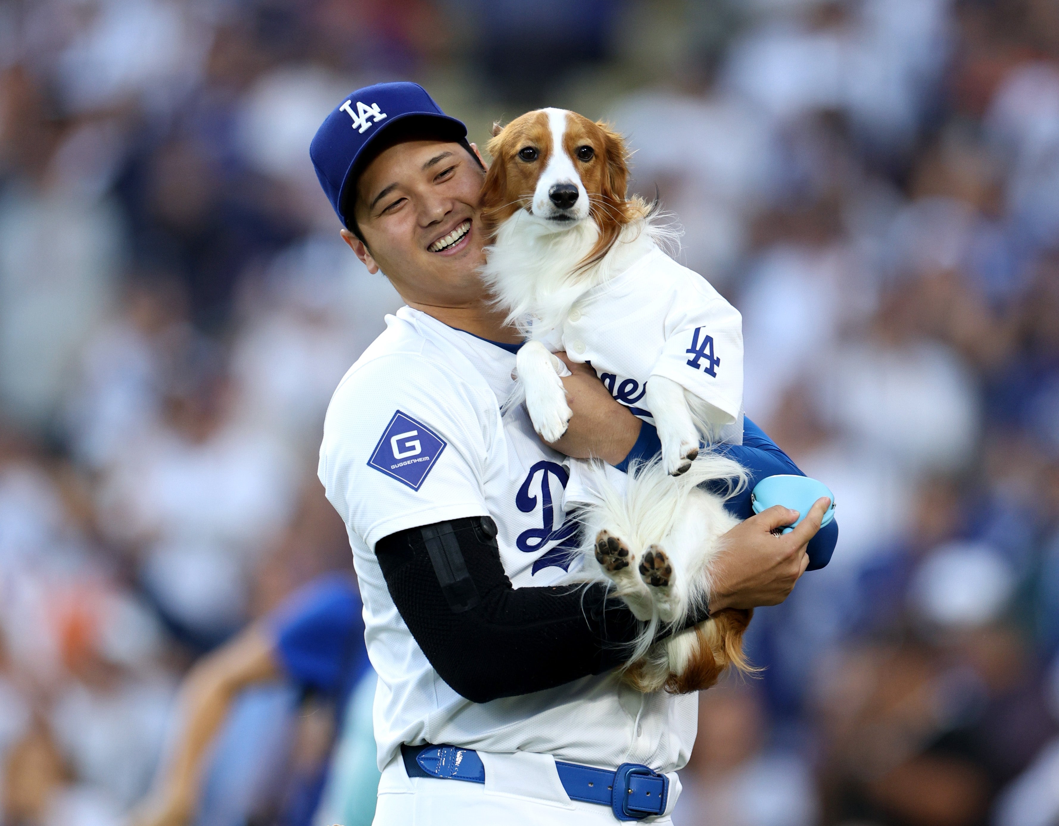 大谷翔平、愛犬デコピンと“まさかの場所”でお遊び→ファン歓喜