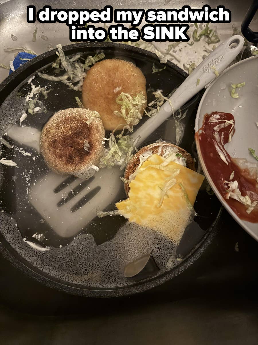 Chesnyy is learning about the real challenges of being a working dog.  #ServiceDogs, image size:900x1200