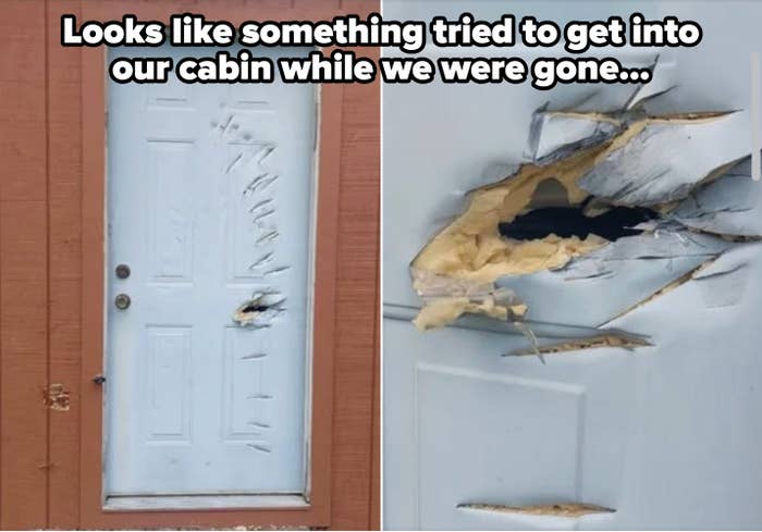 Twenty People Share Their Worst Starts to 2026, and It's a Mixed Bag of Misfortune