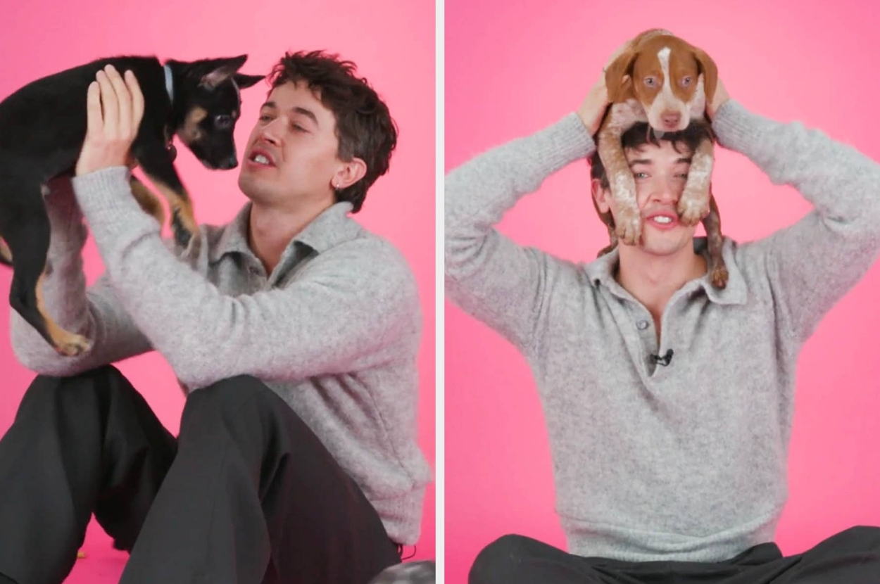 Tom Blyth playing with puppies