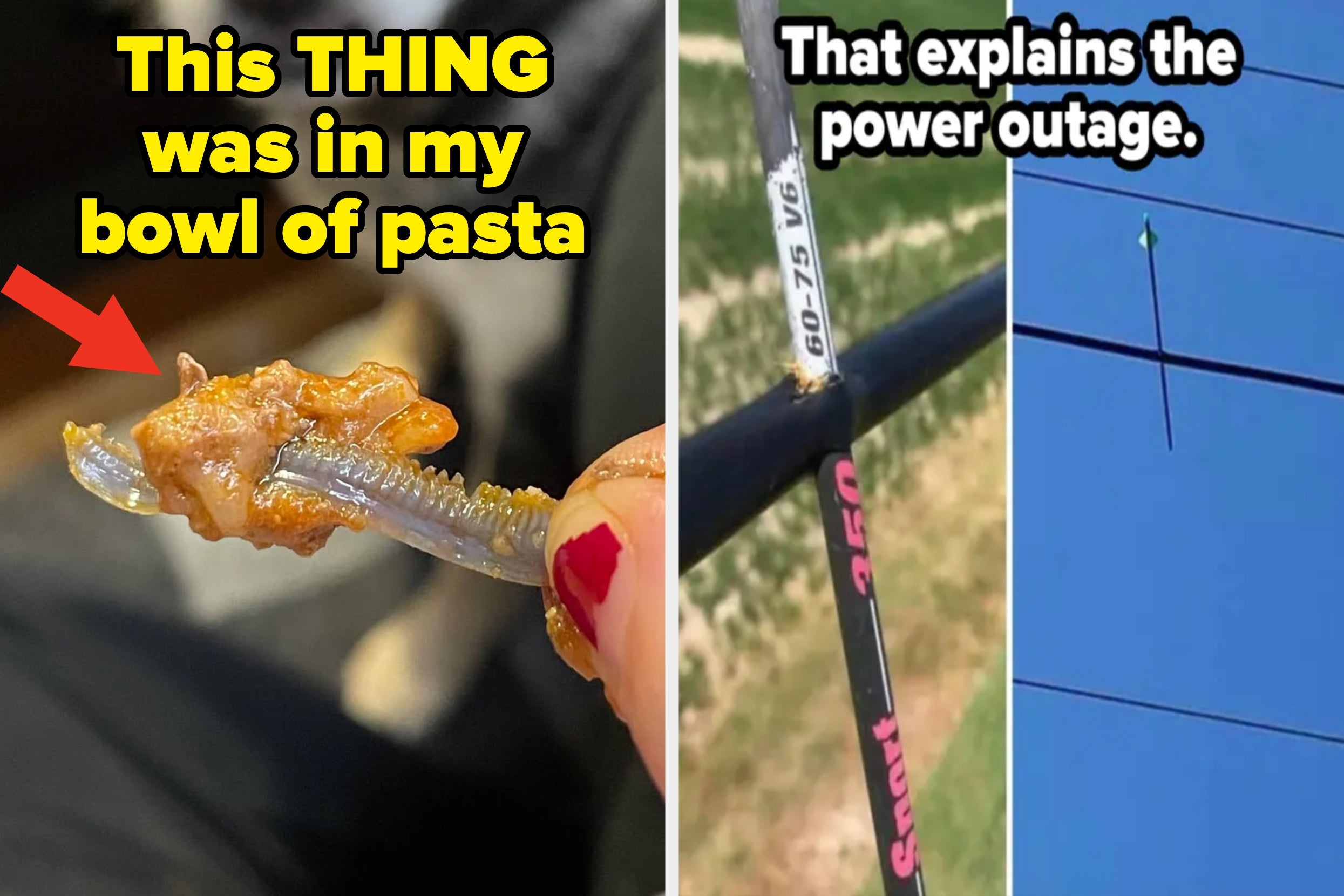 20 More People Who Are Having A Way, Way, Way, Way, Way, Way, Way, Way, Way, Way, Way Worse Start To 2026 Than You