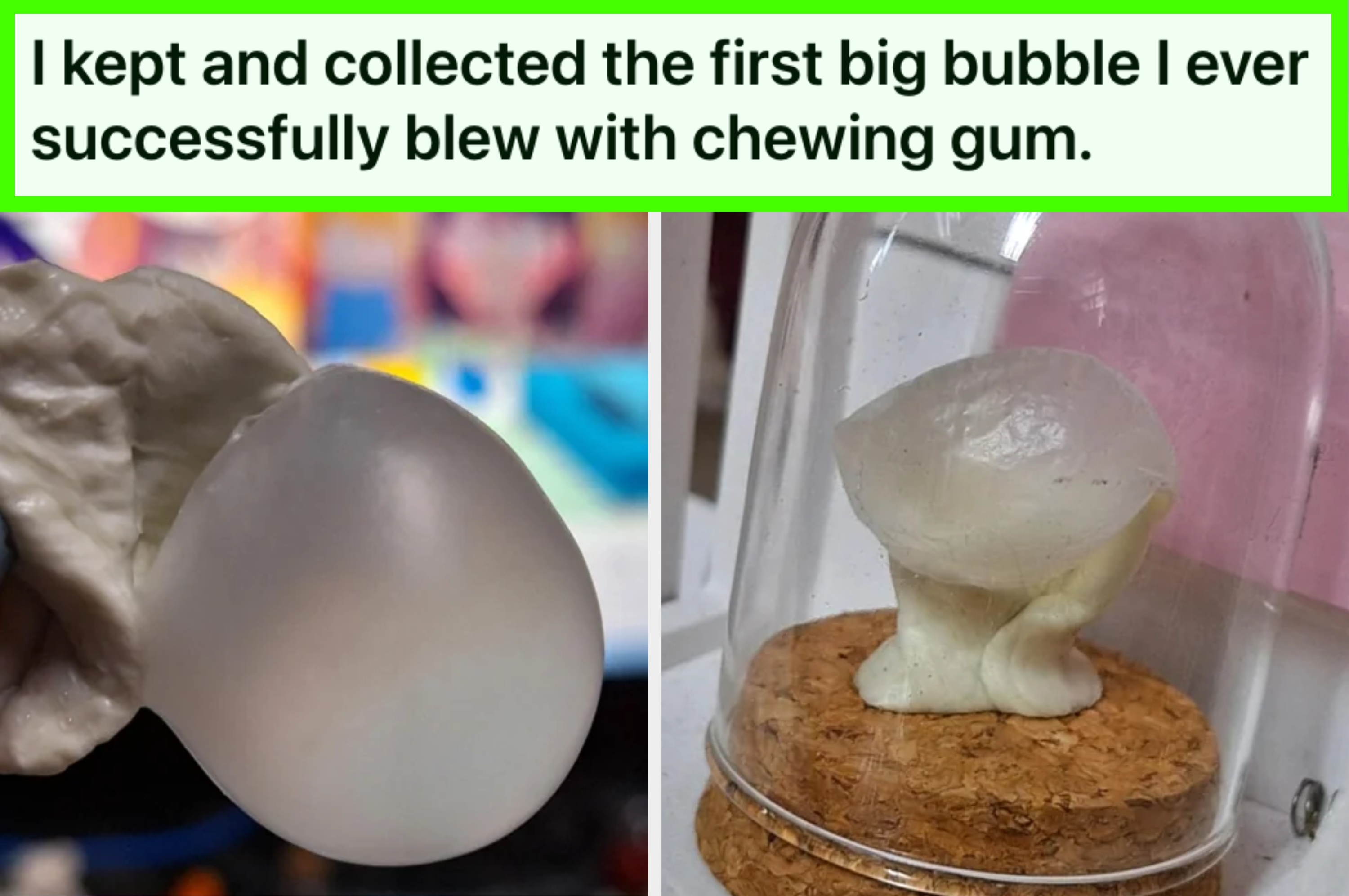 Split image: Left shows a clear bubble blown from gum; right shows preserved bubble under a glass dome on a cork base