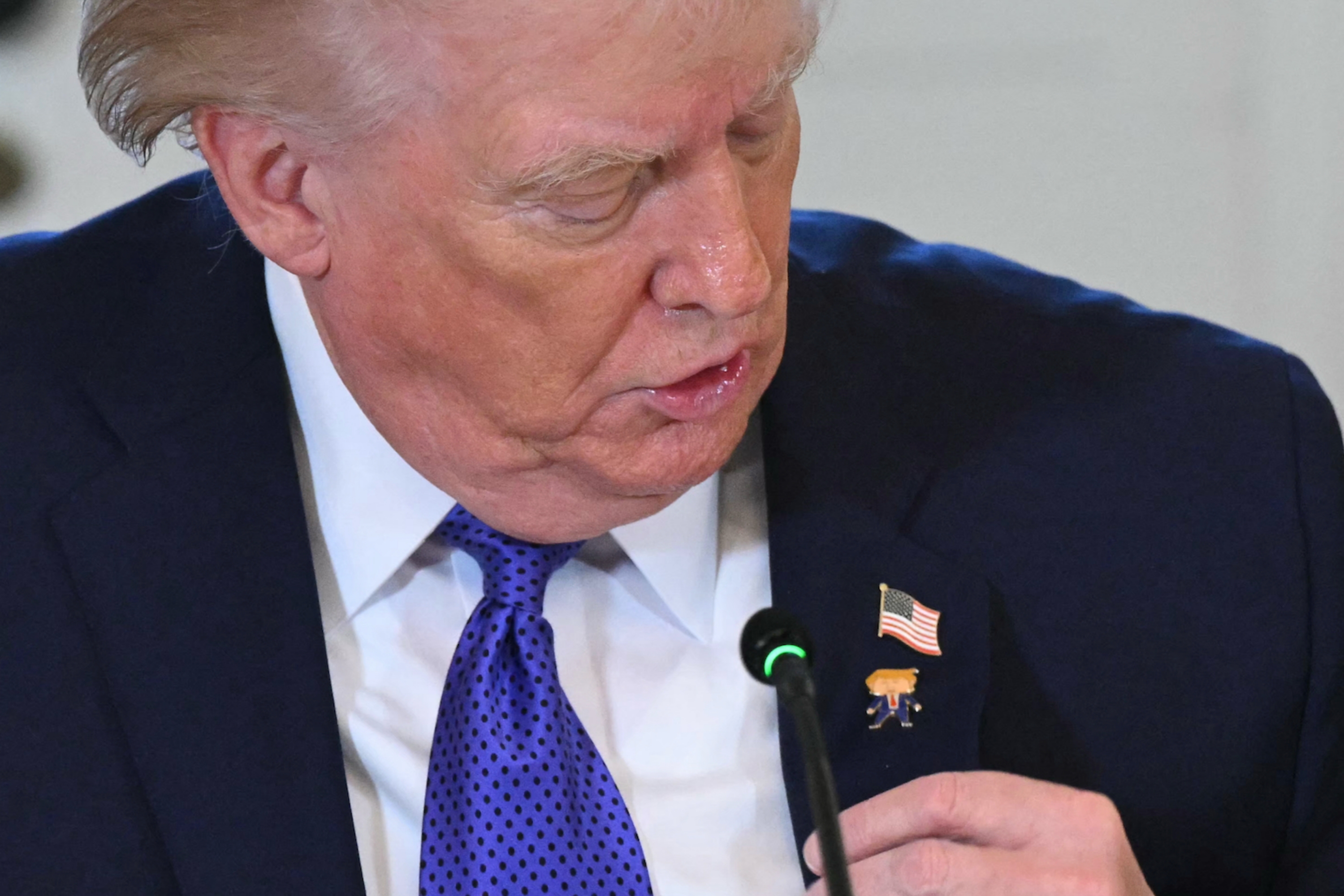A person wearing a polka dot tie and a suit with lapel pins of an American flag and a cartoon figure. A microphone is in front of them