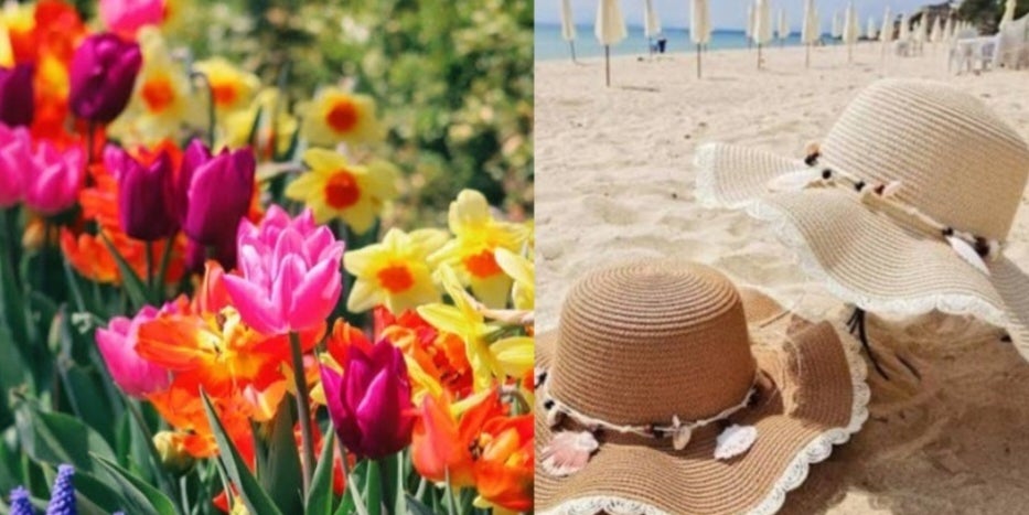 Pick Some Flowers And I'll Give You The Hat That Perfectly Matches Your Vibe!