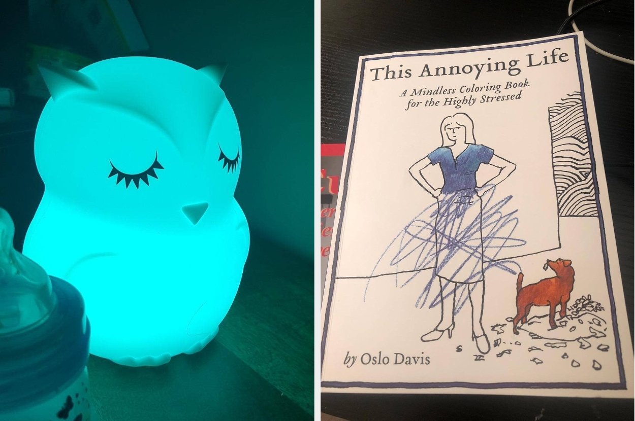 Left: Owl-shaped night light on. Right: Cover of the book "This Annoying Life" by Oslo Davis, featuring a drawing of a person and dog