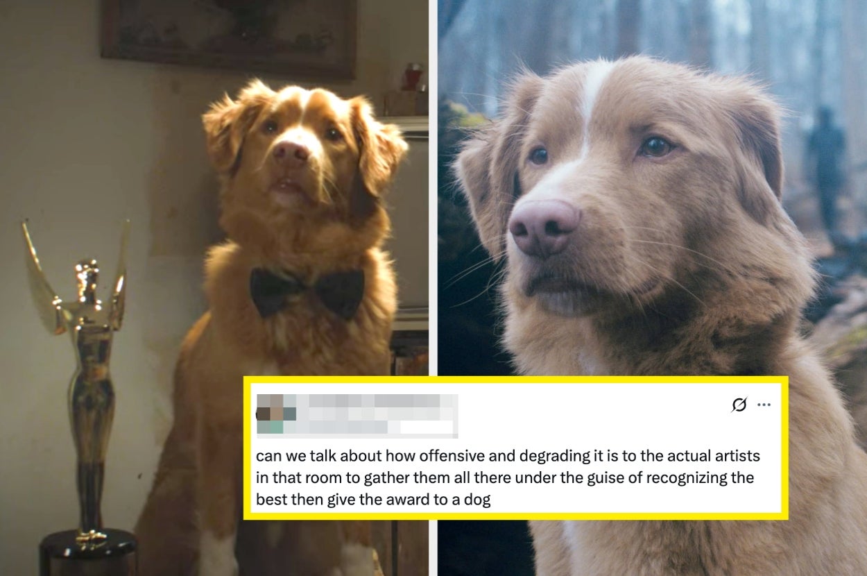“An Insult To The Human Nominees”: People Are Fuming After A Dog Beat Five Human Actors — Including Sally Hawkins And Ethan Hawke — To An Acting Award