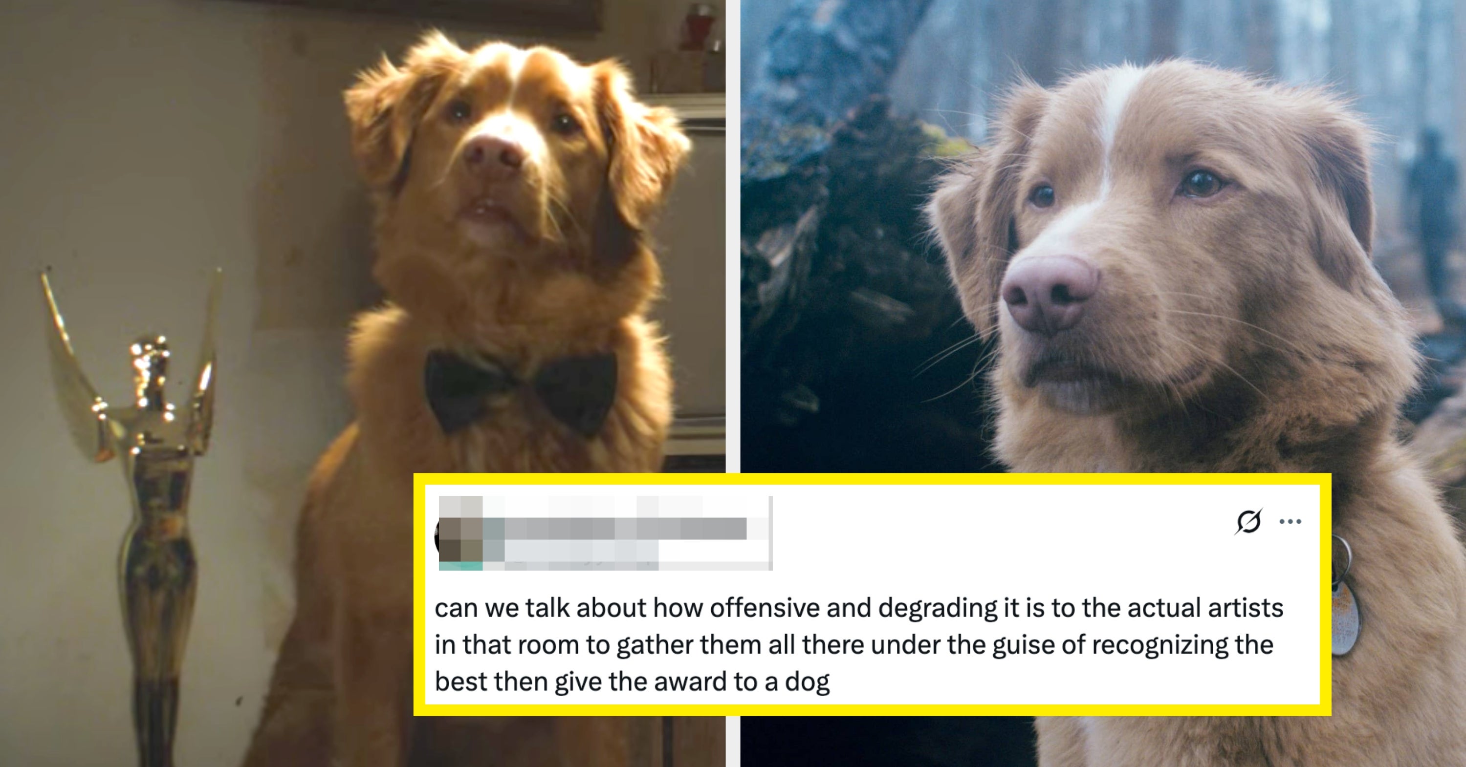“An Insult To The Human Nominees”: People Are Fuming After A Dog Beat Five Human Actors — Including Sally Hawkins And Ethan Hawke — To An Acting Award