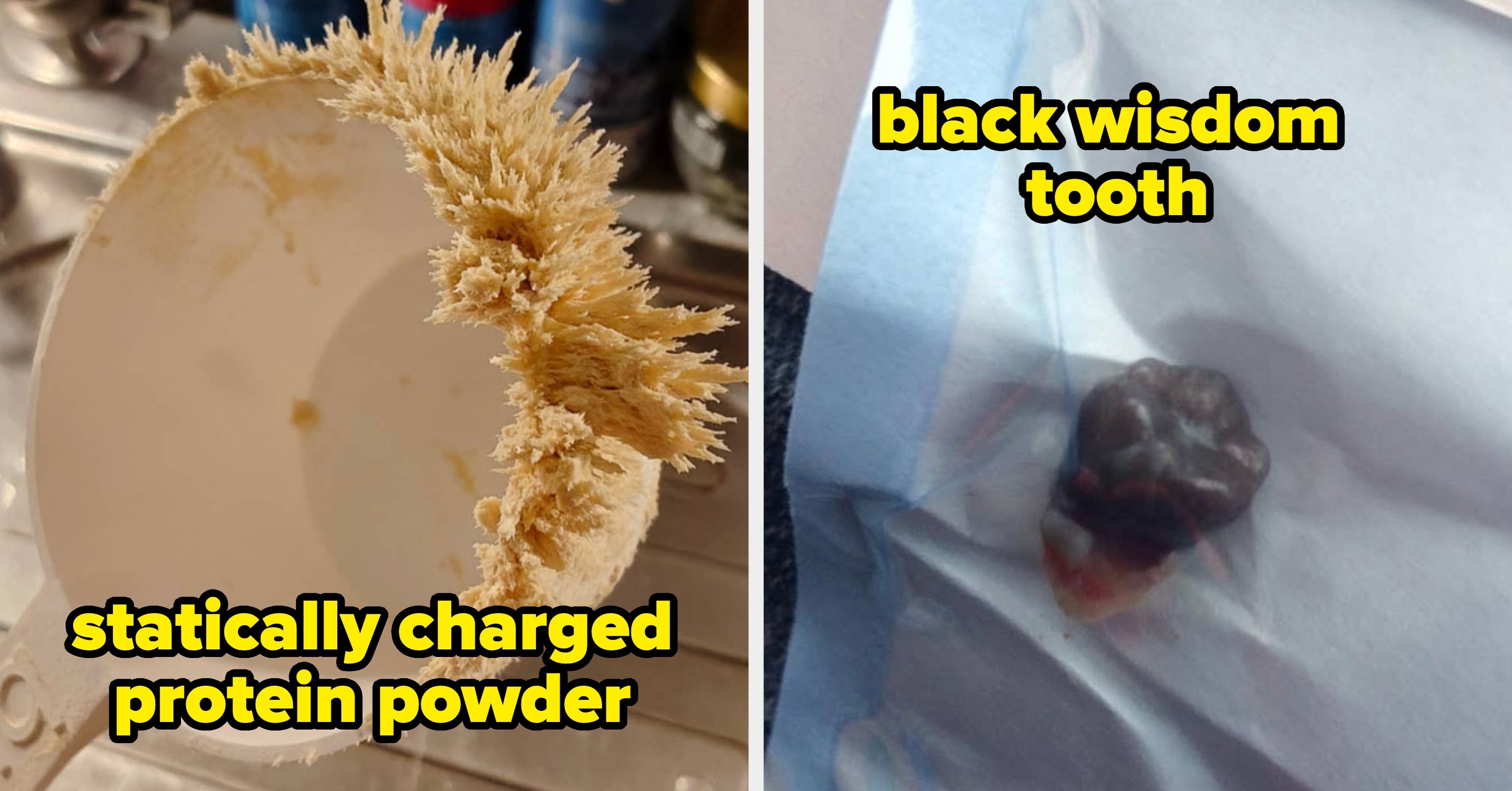 20 Super Cool Rare Photos