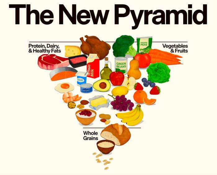 The representation  shows a nutrient  pyramid emphasizing protein, dairy, steadfast   fats, full   grains, vegetables, and fruits