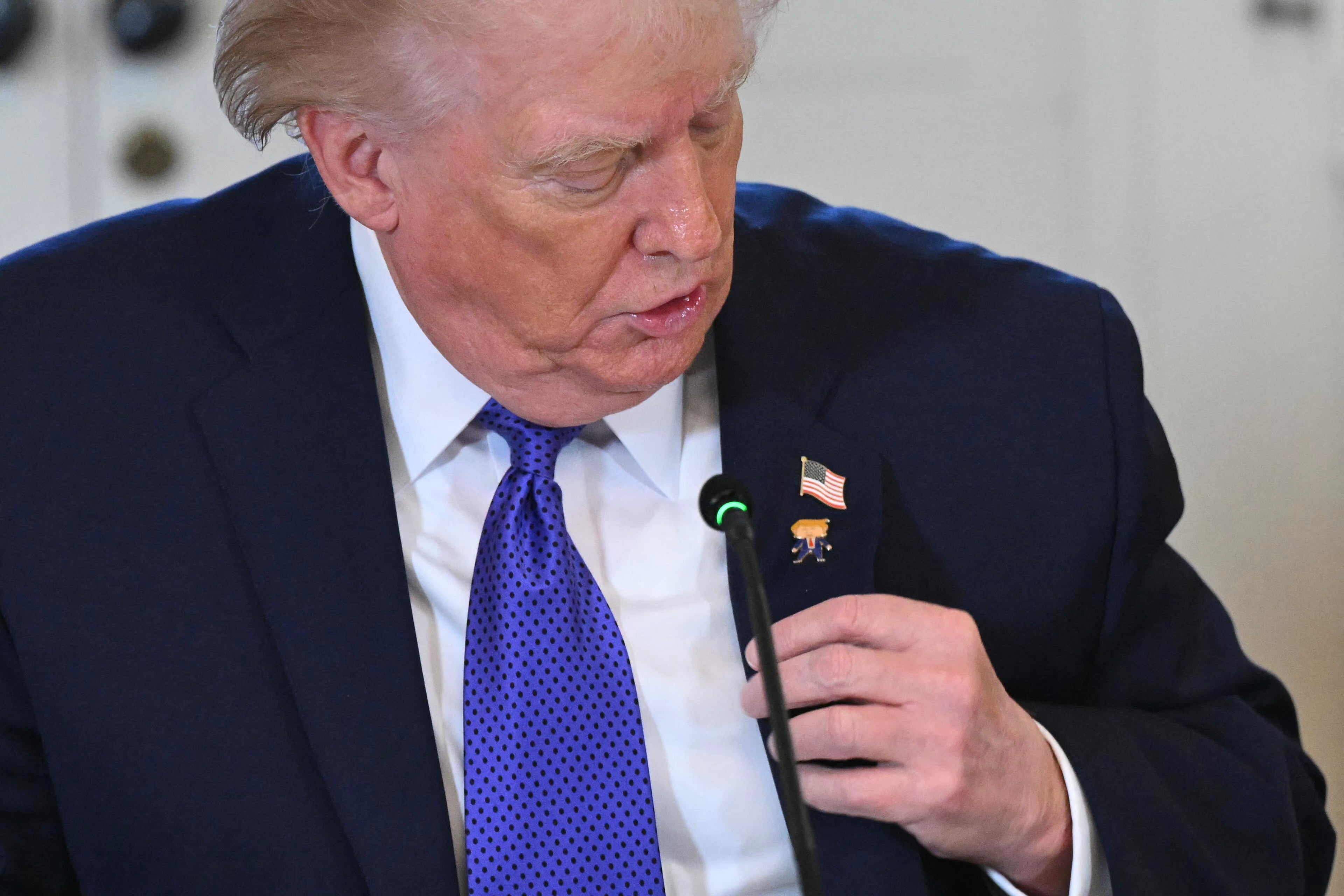 【激レア・スタッフ限定】 アメリカ館トランプ大統領記念ピンバッジ 自己愛がすごい」トランプ氏の胸元に、まさかの“ピンバッジ”→注目