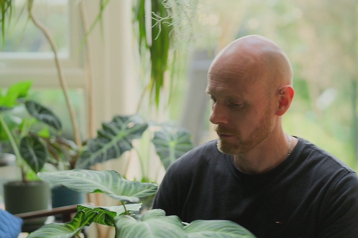 Keep A Houseplant In Your Bedroom? We Have Some News