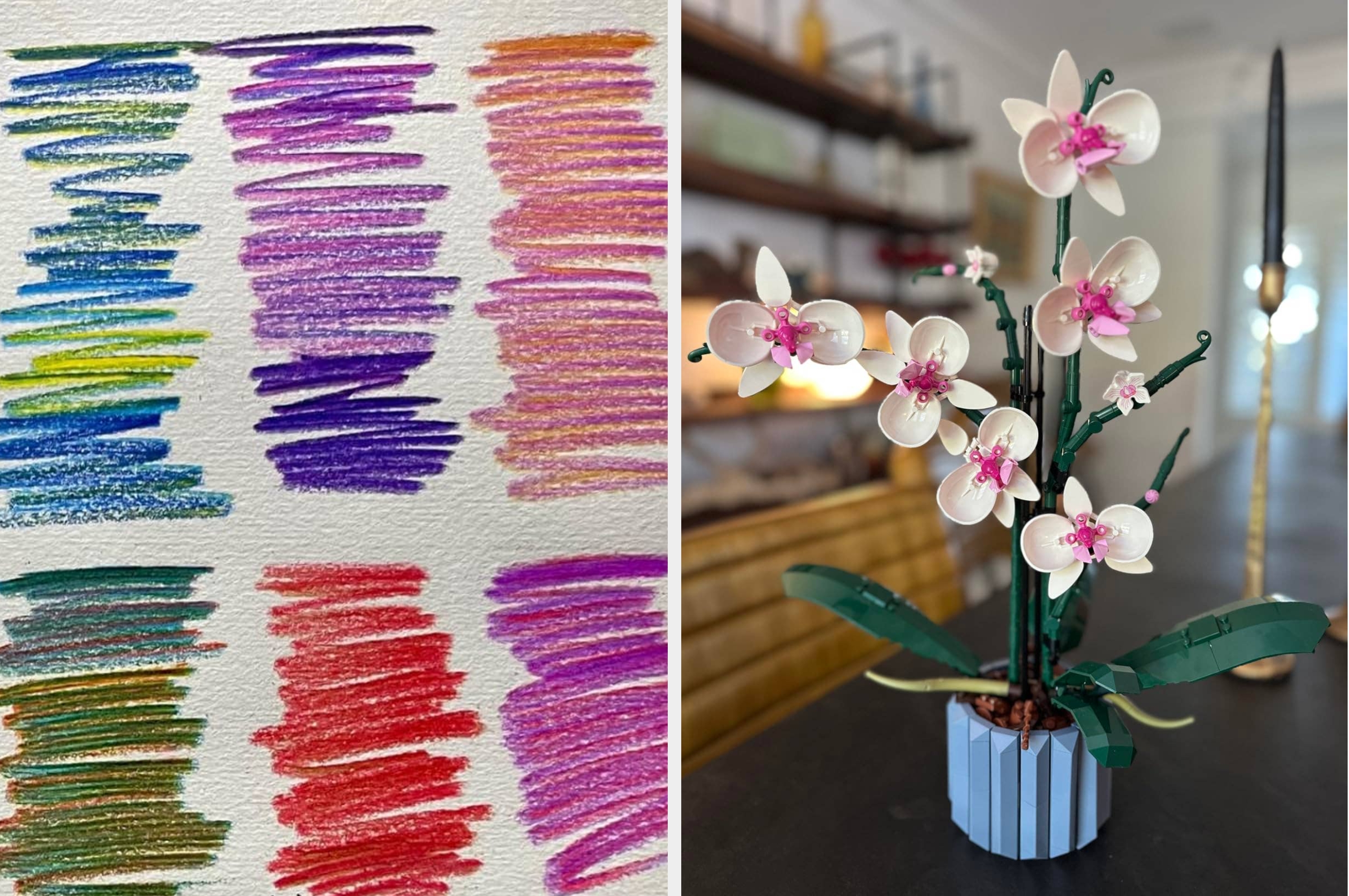Left: Assorted colored pencil scribbles on paper. Right: Lego plant model with long green leaves and white flowers in a cylindrical pot