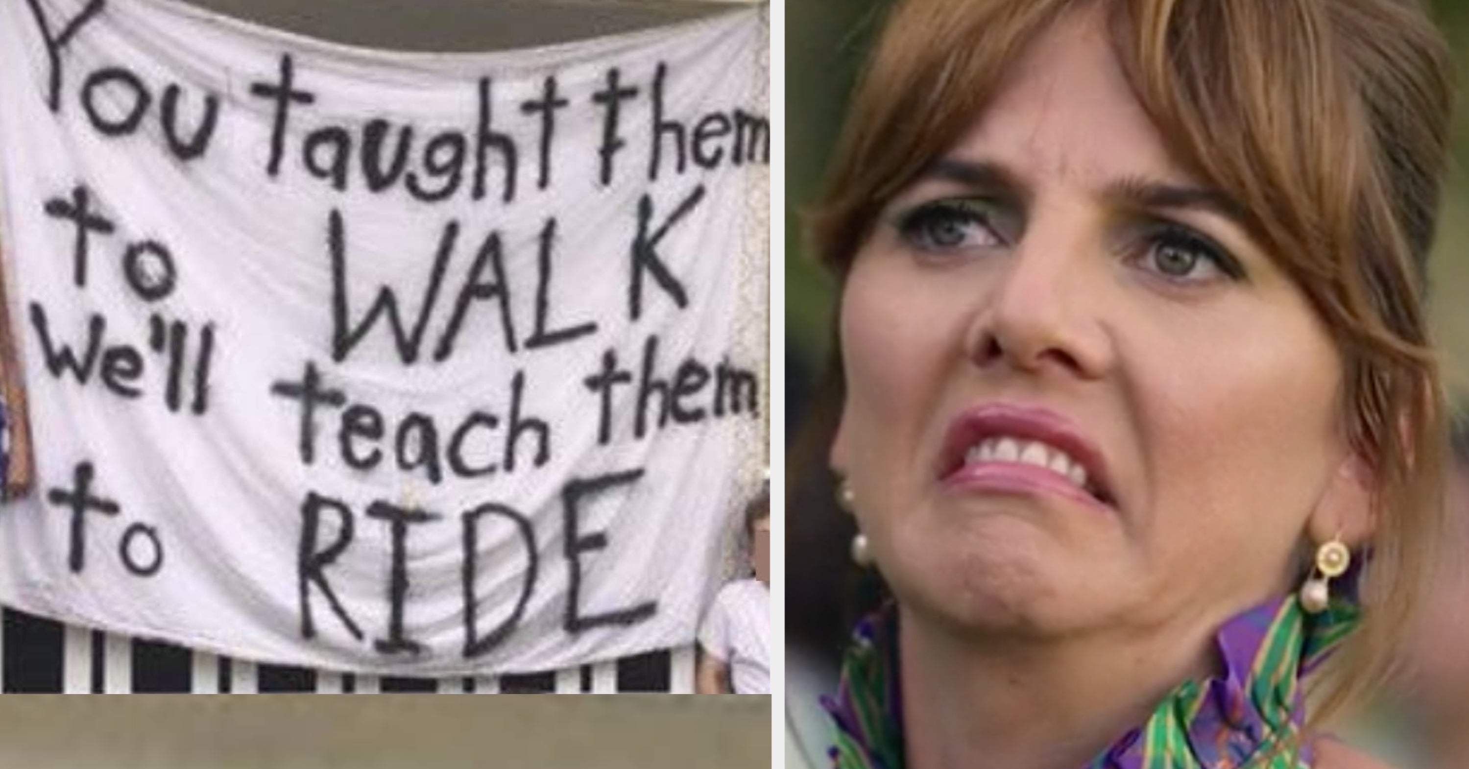 43 Absolutely Unhinged Signs People Actually Had To Put Up