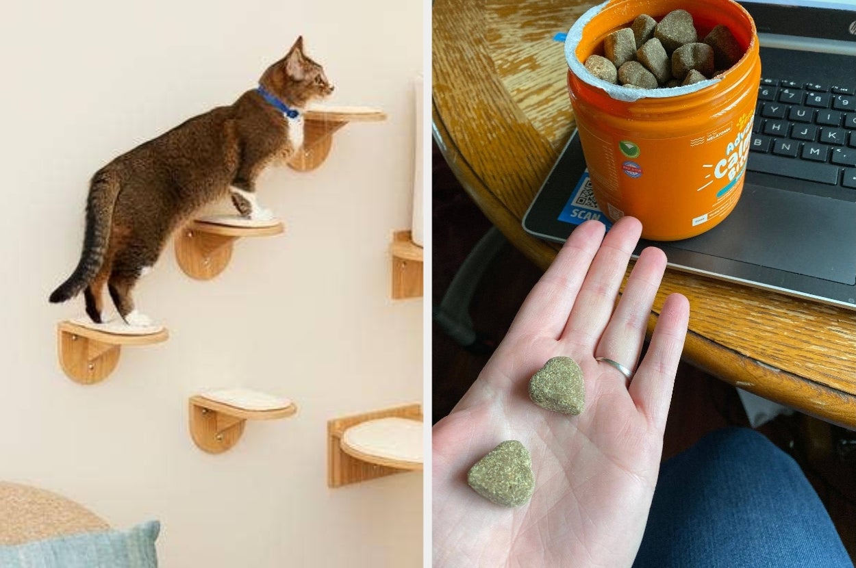 Cat using wall-mounted steps; person holds heart-shaped cat treats near an open container beside a laptop