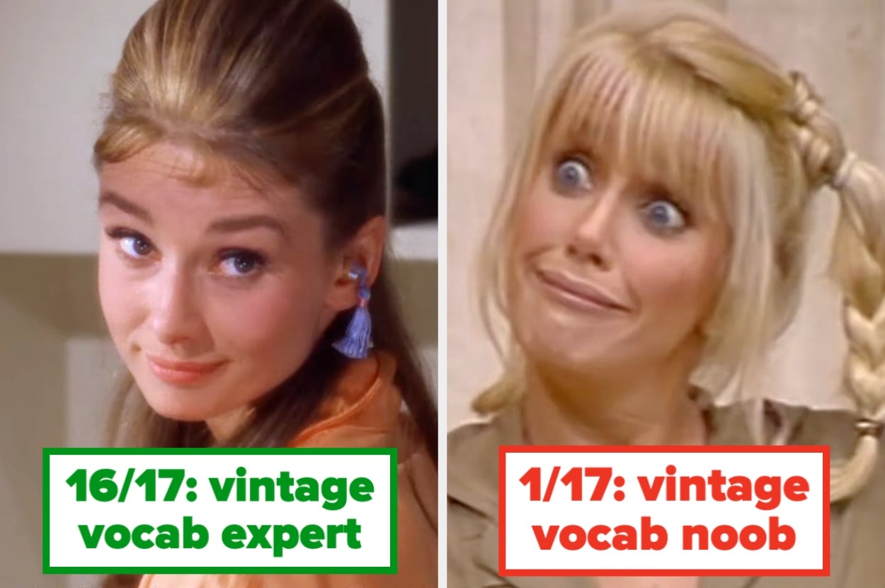 Two vintage TV characters with facial expressions. Left: confident, text reads "16/17: vintage vocab expert." Right: surprised, "1/17: vintage vocab noob."