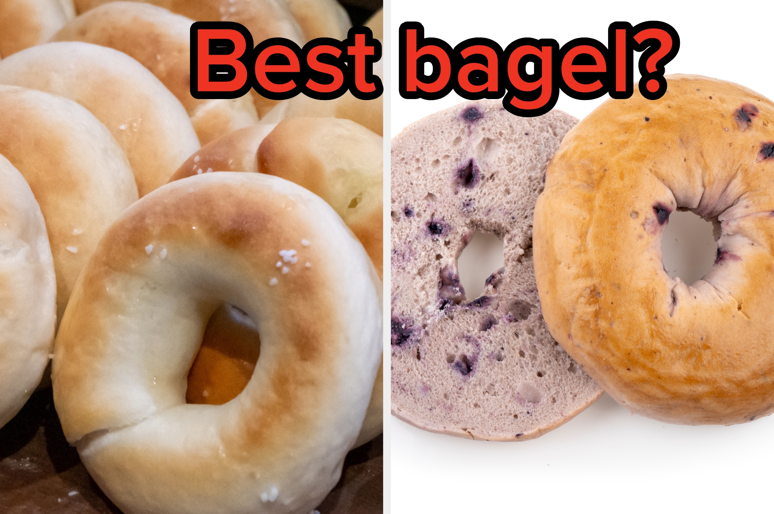 Plain bagels on the left and blueberry bagels on the right with text asking, "Best bagel?"