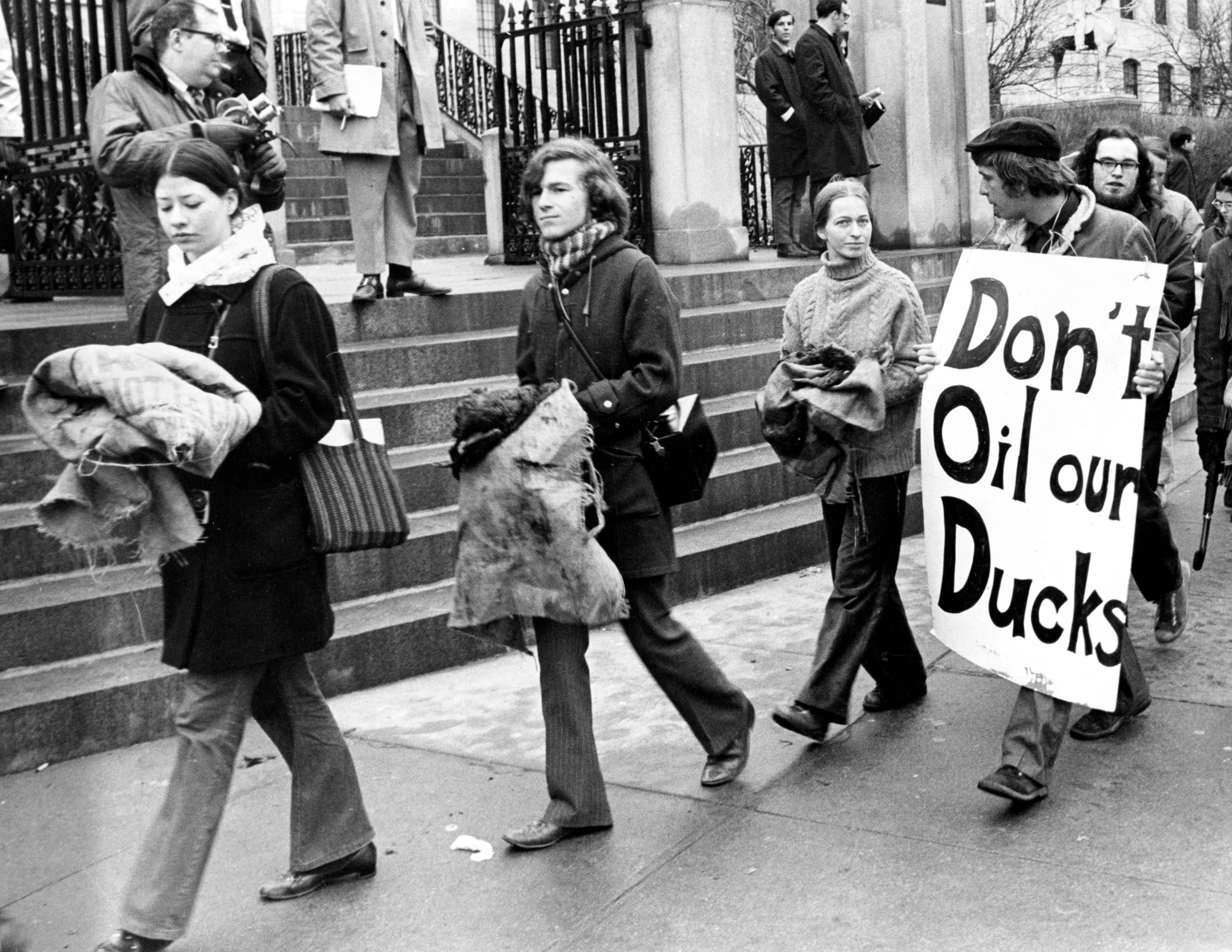 People marching, holding a motion   speechmaking  "Don't Oil our Ducks," protesting against lipid  contamination  and its interaction   connected  wildlife