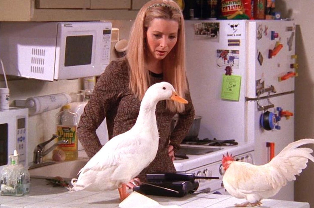 Ever Wonder What Kind Of Bird You Are Deep Down? Eat A HUGE Feast To Find Out!