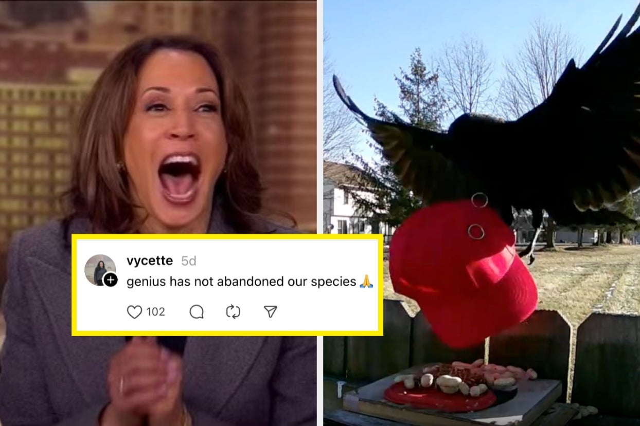 This Man Is Going Viral For Teaching Crows How To Attack MAGA Hats