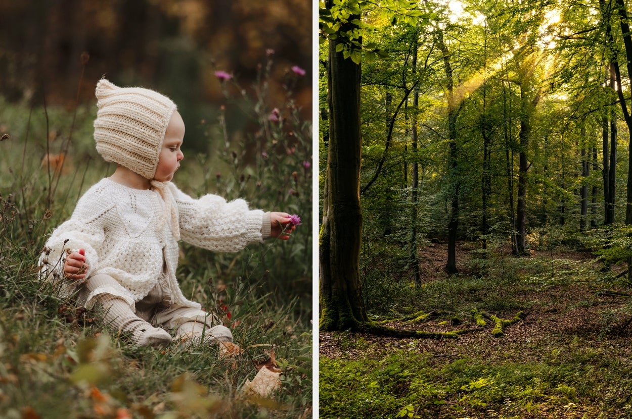 Left: Baby in a knit outfit sits on grass, holding a flower. Right: Sunlight filters through a dense forest