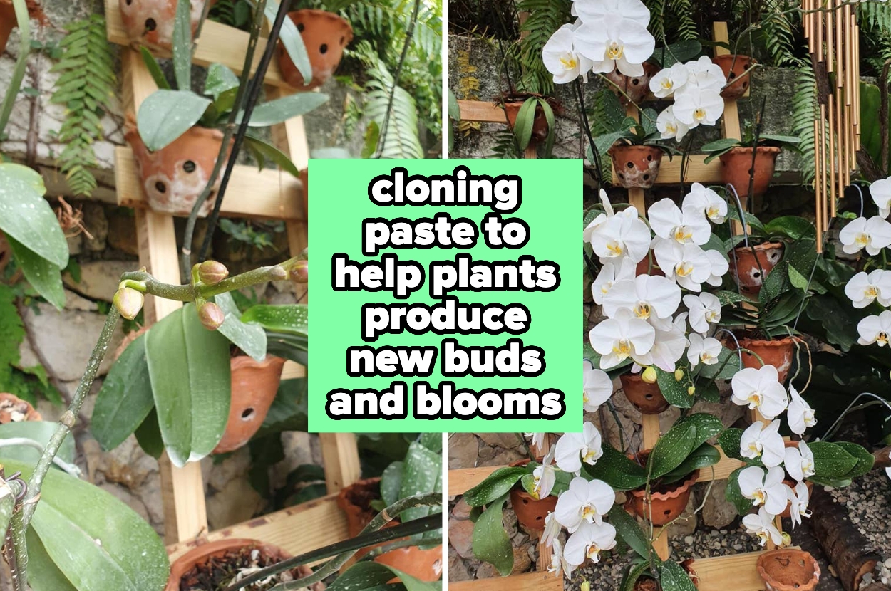 buzzfeed.com - Jonathan Mazzei - 31 Things That Must Have Been Designed By Geniuses