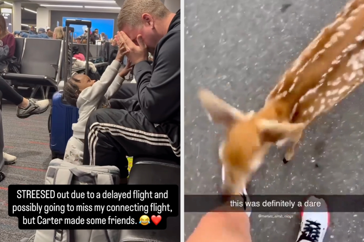 Child plays with an adult in airport terminal; image of fawn with overlay text: "this was definitely a dare."
