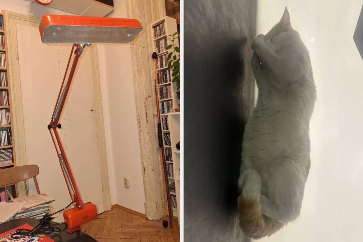 Left: Vintage orange desk lamp with adjustable arm in a room with books. Right: Cat lying on its side, stretching on a dark surface