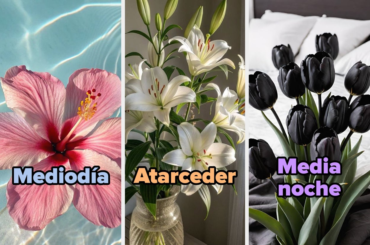 Image of three panels: a pink hibiscus at noon, white lilies at dusk, and black tulips at midnight