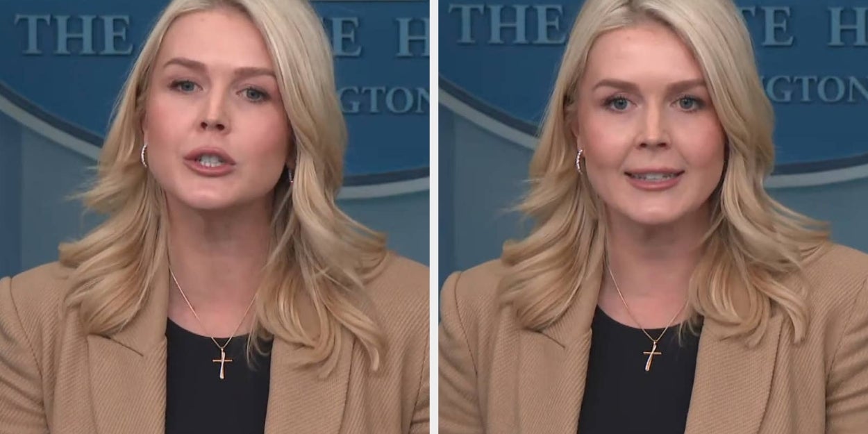 Karoline Leavitt Freaked Out When A Reporter Brought Up This Fact About ICE