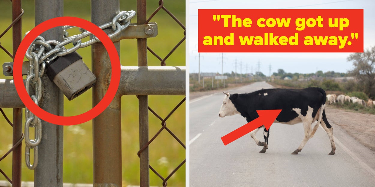 “Everyone Says I’m Lying; I’m Not”: People Share The Most Unbelievable Things They Witnessed