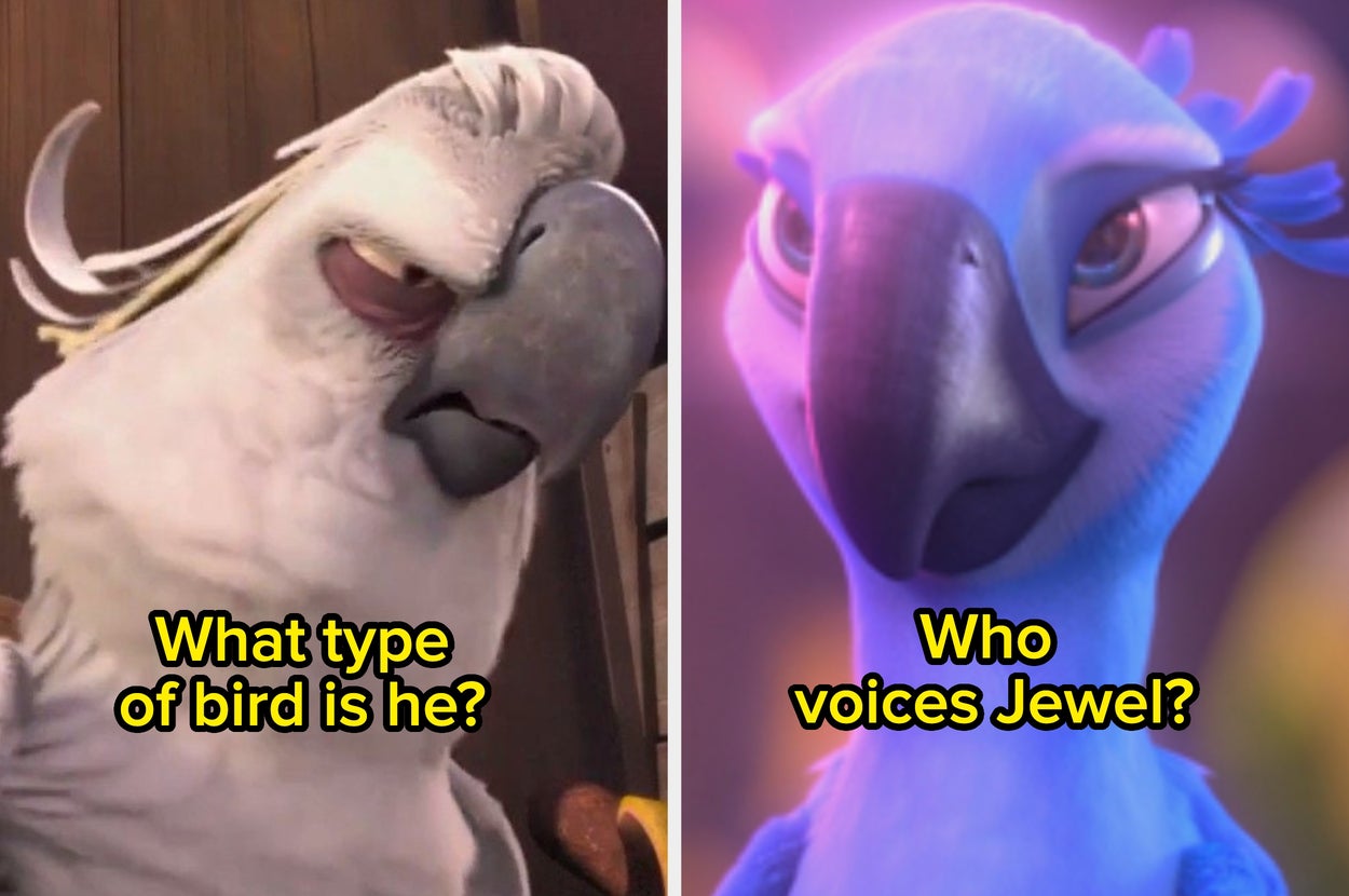 How Well Do You Remember "Rio"?