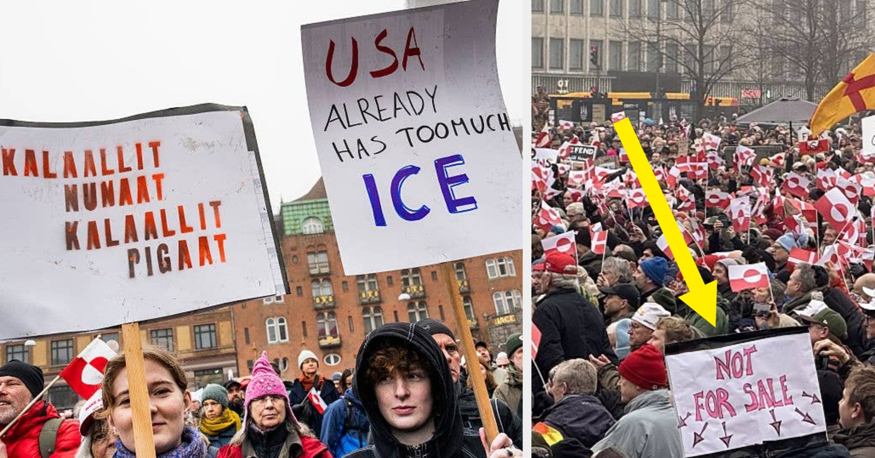 These 30 Signs From Denmark’s Greenland Protest Are Seriously So Good