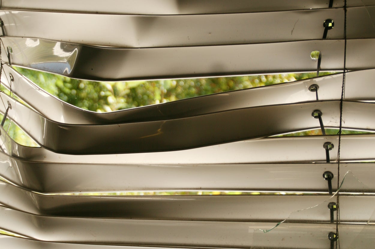 壊れたブラインドの隙間から外の緑が見える。