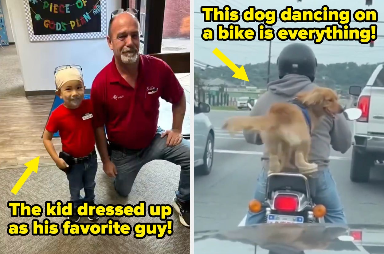 20 Wholesome Internet Moments That Prove Humanity Is Trying Its Best Right Now