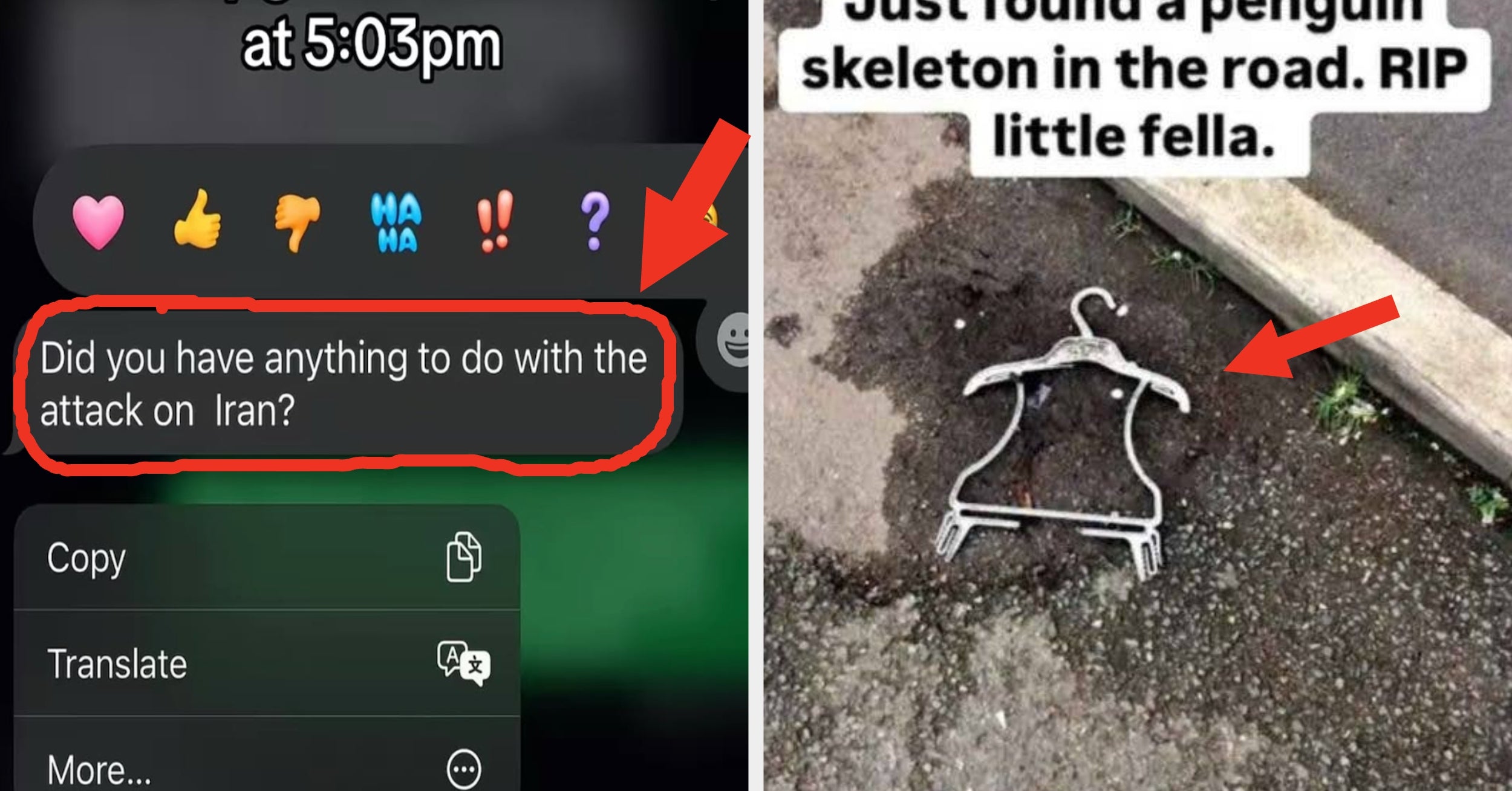 29 Extremely Dumb Pictures Caught At JUST The Right Moment That Get Funnier And Funnier Every Time I See Them