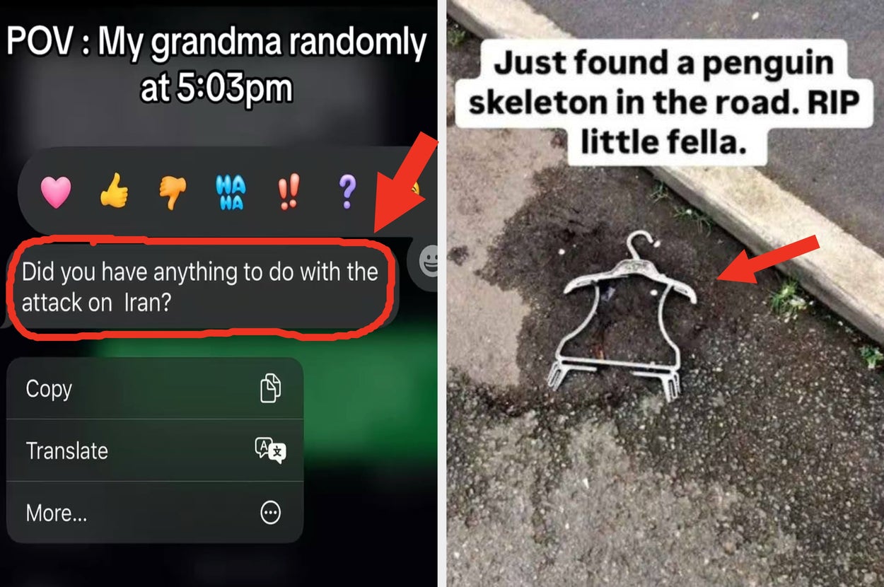 A humorous meme split into two parts: a chat asking about Iran and a sidewalk photo with a hanger labeled as a "penguin skeleton."