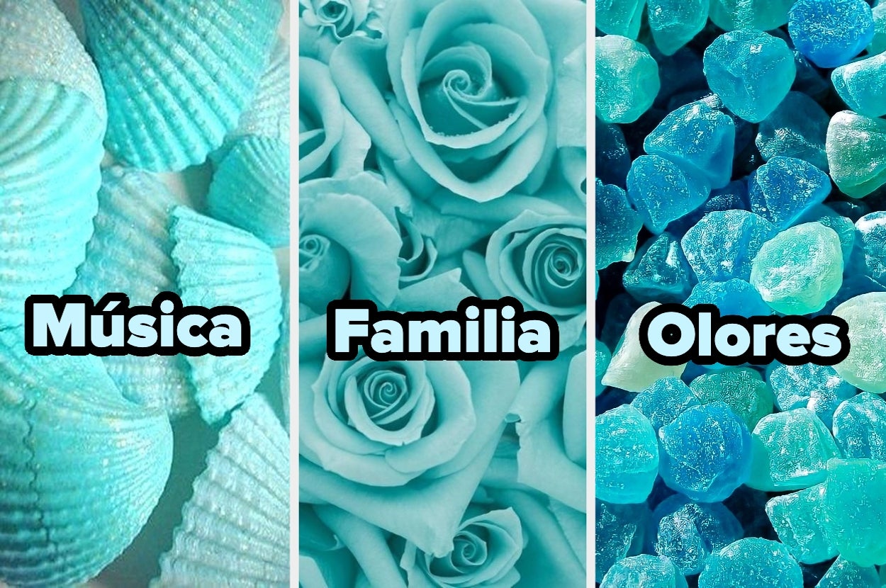 Muestra de caracolas, rosas y cristales azules, etiquetados como "Música", "Familia" y "Olores"