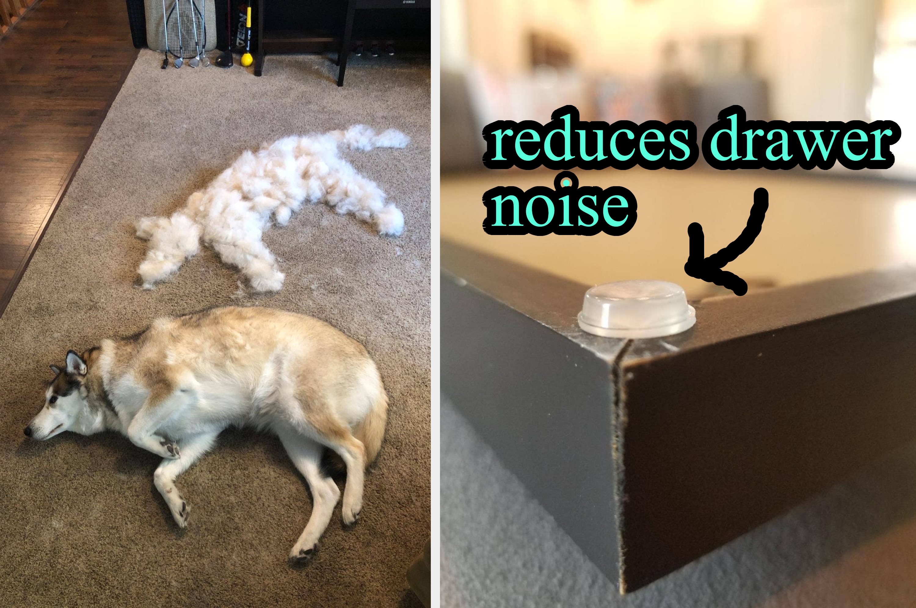 Dog sleeping next to a pile of its fur, with a photo of a table with a noise-dampening pad labeled humorously