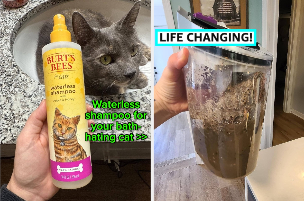 Left: Cat with Burt's Bees waterless shampoo. Right: dirty water from Bissell vacuum/mop.
