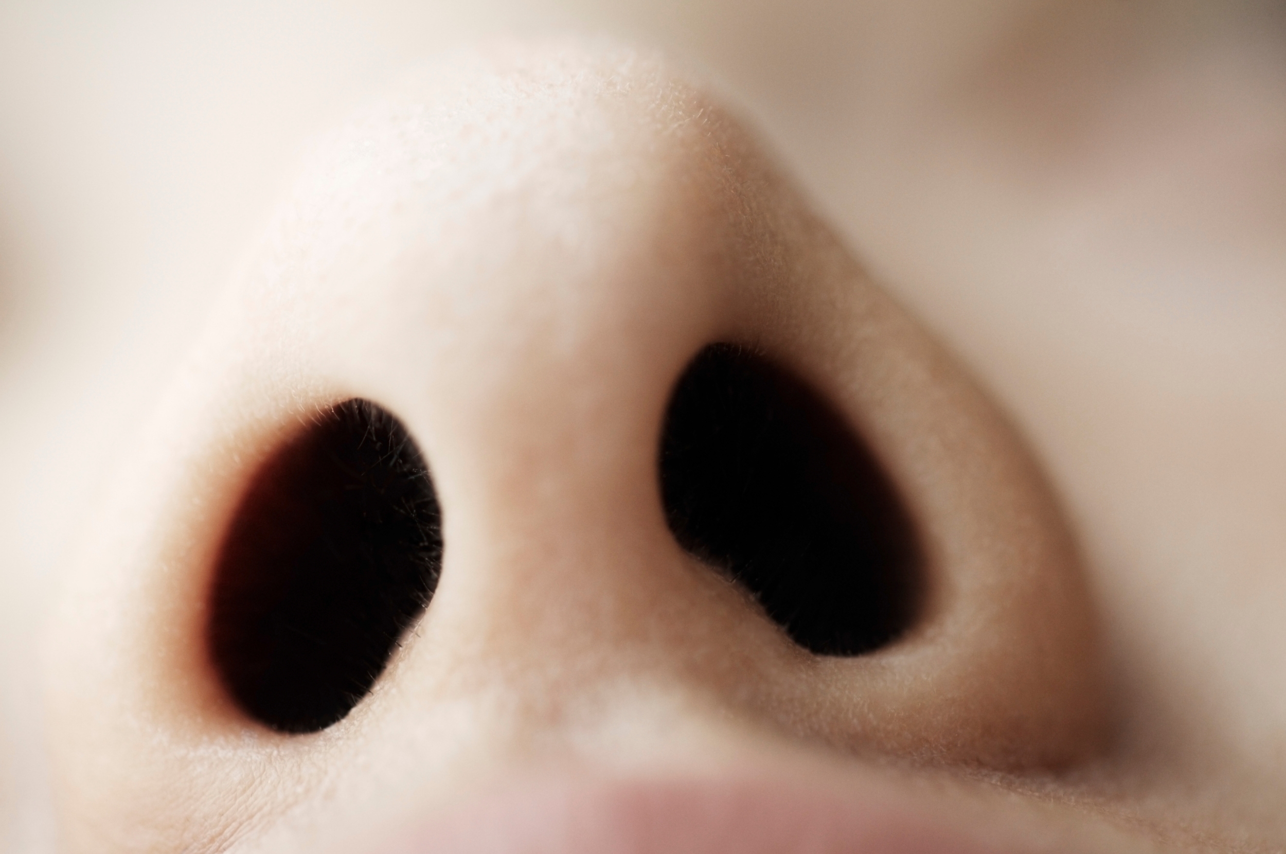 Close-up of a person's nostrils and tip of the nose, showing skin texture and details