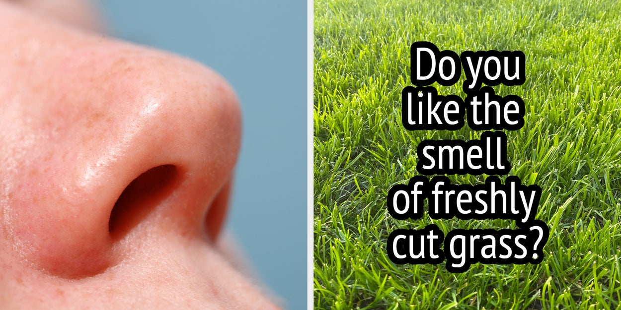 Admit It, You Like the Smell of These Odd Things